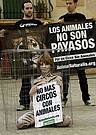 07.01.09. AnimaNaturalis ha realizado hoy un acto de protesta frente al Ayuntamiento de Tarragona, en el que activistas desnudas y con el cuerpo pintado de felino se han enjaulado para protestar contra el Circo de Venecia, que emplea a animales en sus esp