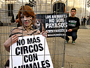 07.01.09 AnimaNaturalis ha realizado hoy un acto de protesta frente al Ayuntamiento de Tarragona, en el que activistas desnudas y con el cuerpo pintado de felino se han enjaulado para protestar contra el Circo de Venecia, que emplea a animales en sus espe