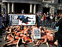 16.03.09 Activistas de AnimaNaturalis ha pedido hoy la abolición de la tauromaquia con la representación de una falla humana en Valencia con personas ensangrentadas y con banderillas clavadas, que representaban a toros muertos después de una corrida.
