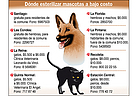 Infografía sobre esterilización a bajo costo en Santiago de Chile, 2009.