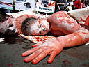 23.04.2009. Una veintena de activistas de AnimaNaturalis, ocho de ellos desnudos y con el cuerpo pintado de blanco, propusieron hoy en Barcelona boicotear todo el pescado procedente de Canadá, debido a que este país inicia cada mes de mayo una matanza de 