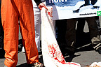 23.04.2009. Una veintena de activistas de AnimaNaturalis, ocho de ellos desnudos y con el cuerpo pintado de blanco, propusieron hoy en Barcelona boicotear todo el pescado procedente de Canadá, debido a que este país inicia cada mes de mayo una matanza de 