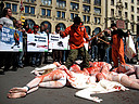 23.04.2009. Una veintena de activistas de AnimaNaturalis, ocho de ellos desnudos y con el cuerpo pintado de blanco, propusieron hoy en Barcelona boicotear todo el pescado procedente de Canadá, debido a que este país inicia cada mes de mayo una matanza de 