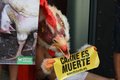 Un activista de AnimaNaturalis se ha disfrazado de pollo torturado ante las instalaciones del Kentucky Fried Chicken (KFC) de La Rambla de Barcelona, para protestar contra las granjas industriales encargadas de criar y engordar a los pollos que posteriorm