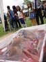 Con motivo de la I Feria de Protección Animal en Medellín, AnimaNaturalis invita a reflexionar sobre el consumo de carne y el sufrimiento que esto conlleva para millones de animales en todo el mundo.