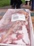 Con motivo de la I Feria de Protección Animal en Medellín, AnimaNaturalis invita a reflexionar sobre el consumo de carne y el sufrimiento que esto conlleva para millones de animales en todo el mundo.