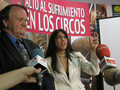 Hoy 5 de noviembre, AnimaNaturalis, ADI y PETA se unieron en Sevilla para denunciar en rueda de prensa las prácticas de este circo. Por la tarde, un acto congregó a un centenar de defensores de los derechos animales. 