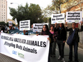 Hoy 5 de noviembre, AnimaNaturalis, ADI y PETA se unieron en Sevilla para denunciar en rueda de prensa las prácticas de este circo. Por la tarde, un acto congregó a un centenar de defensores de los derechos animales. 