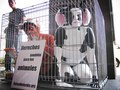 El día 10 de diciembre de 2009, por undécimo año consecutivo, se conmemorará en el mundo el Día Internacional de los Derechos Animales. Desde el año 1997, numerosos grupos y asociaciones recordamos cada 10 de diciembre a los billones de animales que son v