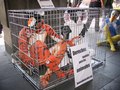El día 10 de diciembre de 2009, por undécimo año consecutivo, se conmemorará en el mundo el Día Internacional de los Derechos Animales. Desde el año 1997, numerosos grupos y asociaciones recordamos cada 10 de diciembre a los billones de animales que son v