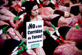 Sábado 6 de febrero de 2010, Museo de Bellas Artes de la Ciudad de México. Cientos de activistas contra la tauromaquia se pusieron en la piel del toro para denunciar la tortura y barbarie de esta tradición.