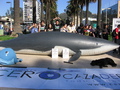Viña del Mar, Chile - 5 de Junio de 2010.- Activistas de AnimaNaturalis ensangrentados simulan ser ballenas cazadas.