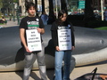 Viña del Mar, Chile - 5 de Junio de 2010.- Activistas de AnimaNaturalis ensangrentados simulan ser ballenas cazadas.