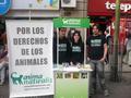 Los días sábado 10 y domingo 11 de Julio recién pasados, activistas de AnimaNaturalis realizaron actividades por un circo sin animales en Santiago de Chile.