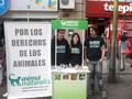 Los días sábado 10 y domingo 11 de Julio recién pasados, activistas de AnimaNaturalis realizaron actividades por un circo sin animales en Santiago de Chile.