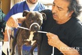 Donativo de AnimaNaturalis permite vacunaci贸n en Llolleo, una de las localidades m谩s afectadas por el terremoto en Chile del 27 de febrero de 2010. La donaci贸n se hizo a trav茅s de la agrupaci贸n Ec贸polis, Disciplinas Integradas.