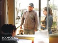 Donativo de AnimaNaturalis permite vacunaci贸n en Llolleo, una de las localidades m谩s afectadas por el terremoto en Chile del 27 de febrero de 2010. La donaci贸n se hizo a trav茅s de la agrupaci贸n Ec贸polis, Disciplinas Integradas.