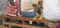 Donativo de AnimaNaturalis permite vacunaci贸n en Llolleo, una de las localidades m谩s afectadas por el terremoto en Chile del 27 de febrero de 2010. La donaci贸n se hizo a trav茅s de la agrupaci贸n Ec贸polis, Disciplinas Integradas.