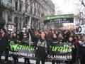 7.08.2010 - Marcha en la Ciudad de Buenos Aires contra la matanza de los perros en Neuquén, Argentina. - http://www.animanaturalis.org/n/11149/