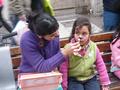 El día domingo 8 de Agosto de 2010, activistas de AnimaNaturalis en plena plaza de armas, pintaron caras de los niños, invitándolos a no asistir a circos con animales. Se aprovechó de recolectar firmas para apoyar una ley nacional que prohíba la instalaci