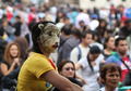 Marcha por los Animales Bogotá
Foto: Roberto Herrera