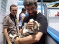 Francisco Vásquez Neira, cofundador de AnimaNaturalis hace un recorrido donde conoce las polÃticas de protección animal de MedellÃn y dicta charla sobre activismo práctico. MedellÃn, 2011