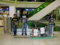 Dos activistas con los cuerpos pintados de felinas dentro de una jaula colocada en un centro comercial valenciano simulando la cautividad de los animales de circo