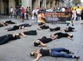 Con motivo de la celebración del Día Mundial de Animales en las Granjas y como entidad organizadora oficial del evento en España, AnimaNaturalis ha protagonizado este fin de semana acciones de protesta en ciudades como Barcelona, Pamplona, Valencia, Ibiza