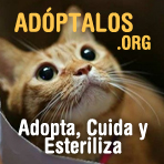 Visita Adoptalos.org: Adopta, Cuida, Esteriliza