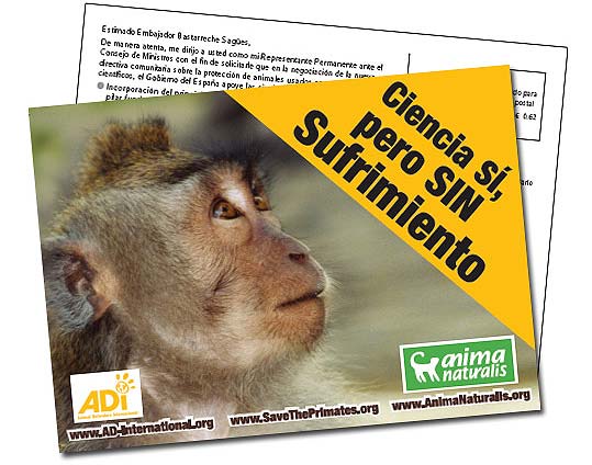 Salvemos a los Primates