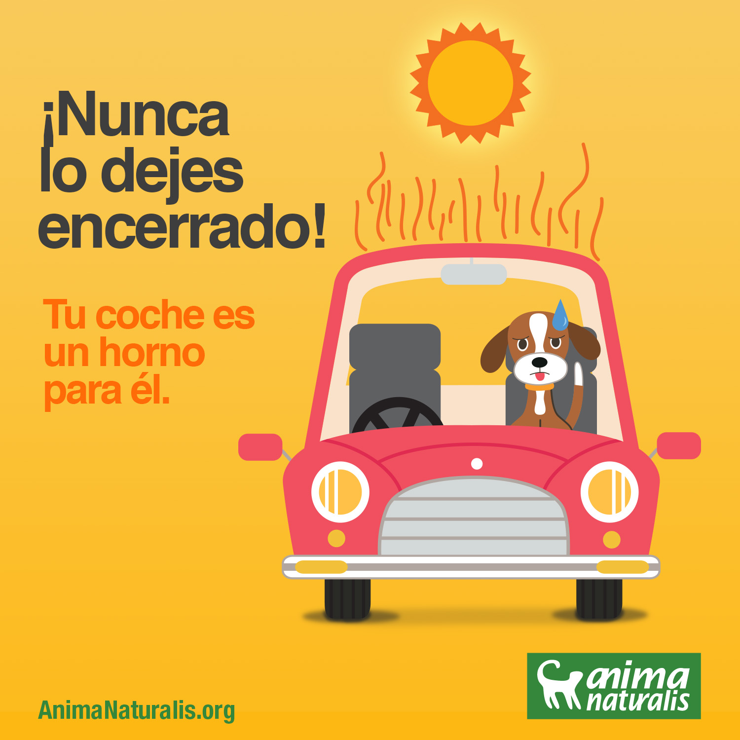 Los peligros del coche para el perro en verano Los peligros del coche para el perro en verano