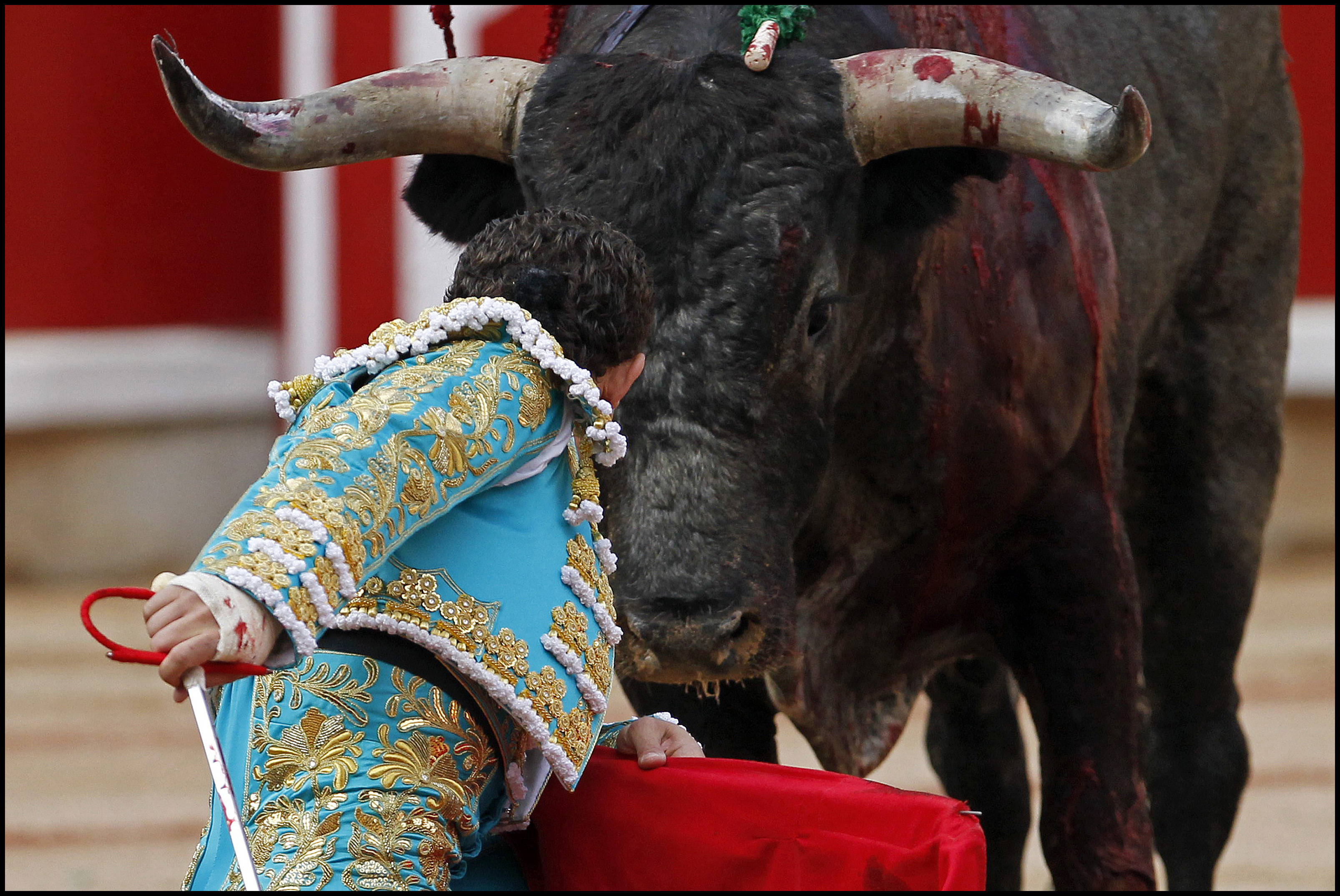 Etología del toro de lidia Etología del toro de lidia