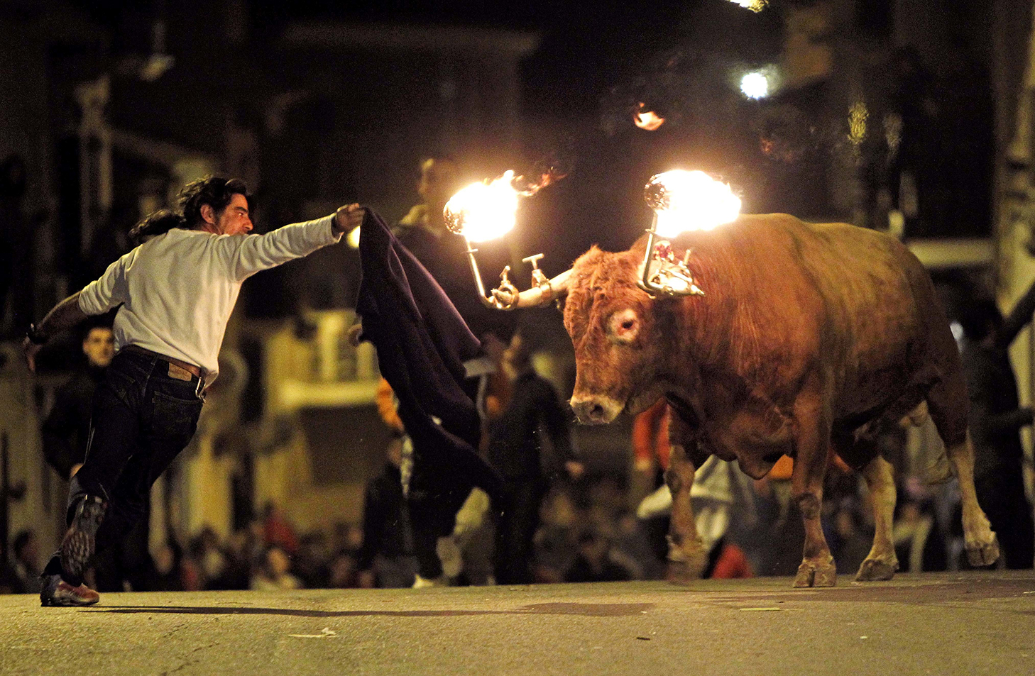 Toros embolados Toros embolados
