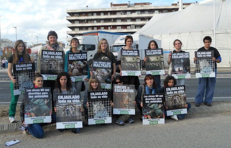 AnimaNaturalis protestó frente al Circo Americano, en Tortosa AnimaNaturalis protestó frente al Circo Americano, en Tortosa