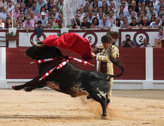 ¡Protesta contra próximas corridas de toros en Morelos! ¡Protesta contra próximas corridas de toros en Morelos!