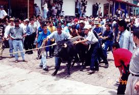 ¡Protesta HOY por inclusión de tauromaquia y vaquilladas en Fiestas Patronales de Xico! ¡Protesta HOY por inclusión de tauromaquia y vaquilladas en Fiestas Patronales de Xico!