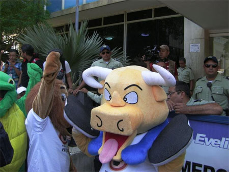 Maracaibo exige una nueva y mejor ordenanza para proteger a los animales Maracaibo exige una nueva y mejor ordenanza para proteger a los animales