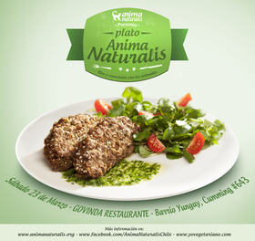 Diversas acciones por el Día Mundial Sin Carne Diversas acciones por el Día Mundial Sin Carne