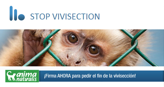 Tú puedes poner fin a la vivisección en Europa: firma aquí Tú puedes poner fin a la vivisección en Europa: firma aquí