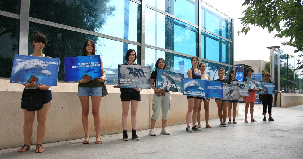 SOS Delfines se concentra contra el cautiverio de delfines SOS Delfines se concentra contra el cautiverio de delfines