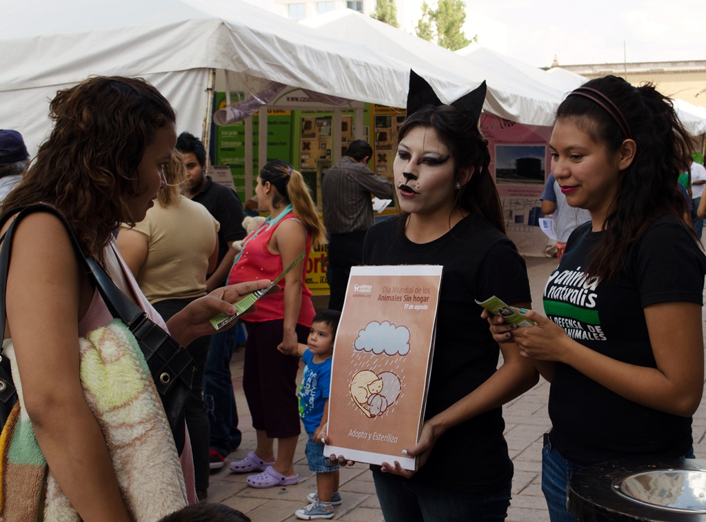 Conmemoramos el Día Mundial de los Animales Sin Hogar en Durango Conmemoramos el Día Mundial de los Animales Sin Hogar en Durango