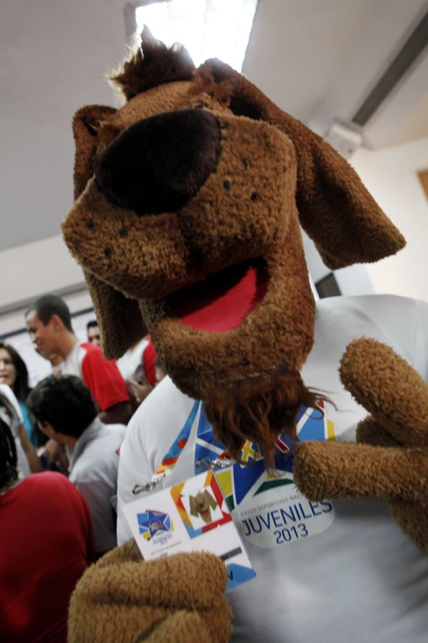 Venezuela: Juegos Deportivos Nacionales en homenaje a los perros callejeros Venezuela: Juegos Deportivos Nacionales en homenaje a los perros callejeros