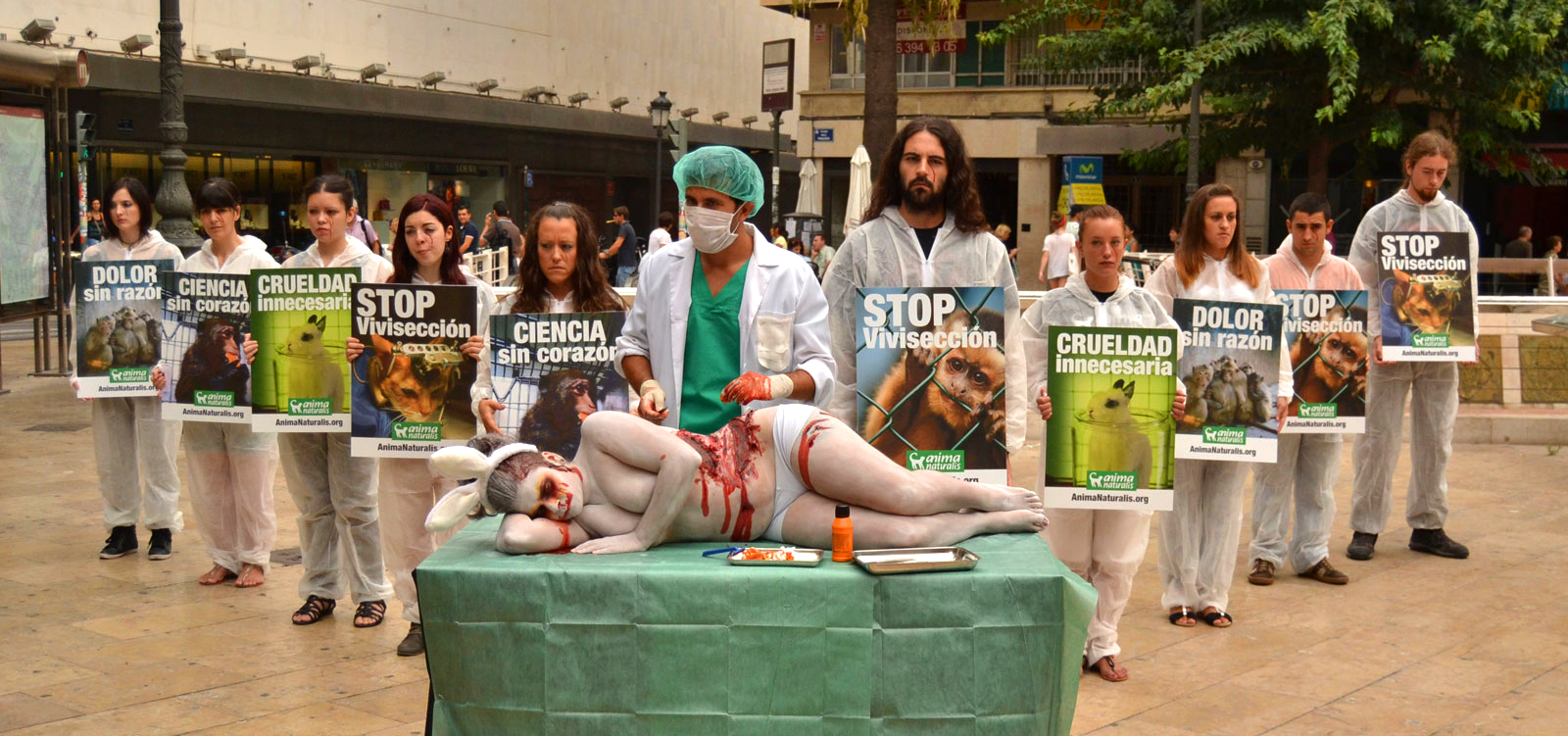 ¡Maratón de recogida de firmas de AnimaNaturalis contra vivisección! ¡Maratón de recogida de firmas de AnimaNaturalis contra vivisección!