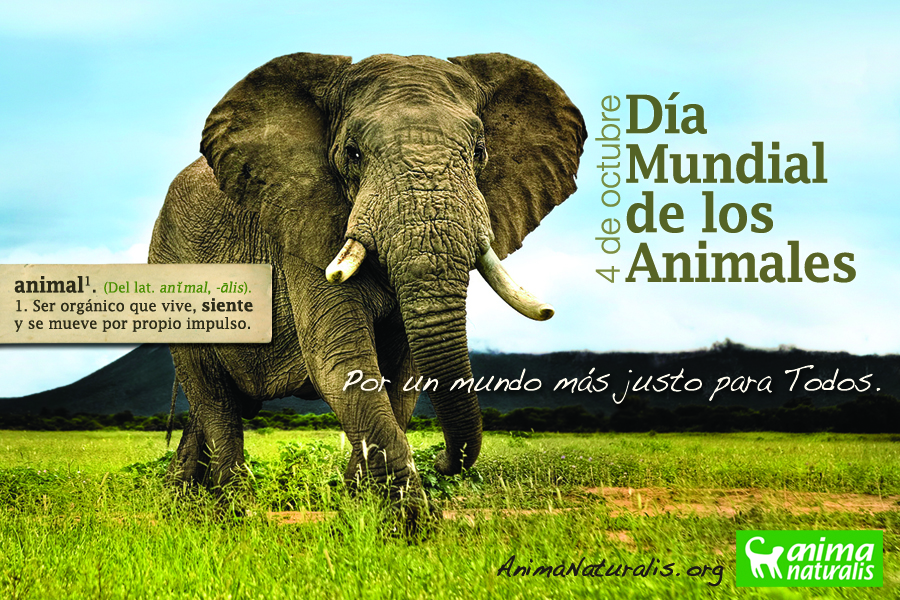 4 de octubre día mundial de los animales General AnimaNaturalis