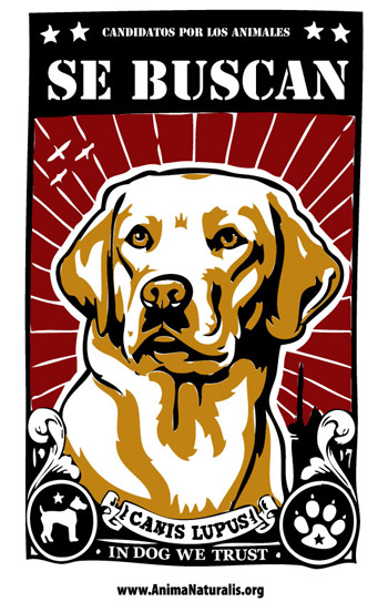 Buscamos candidatos con programas en favor de los animales Buscamos candidatos con programas en favor de los animales