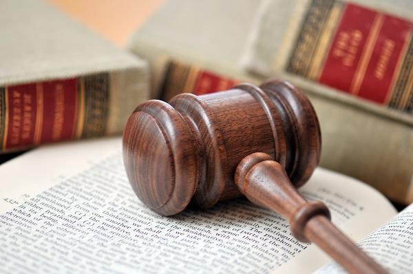 Una asociación de parlamentarios pide incluir la zoofilia en el Código Penal Una asociación de parlamentarios pide incluir la zoofilia en el Código Penal