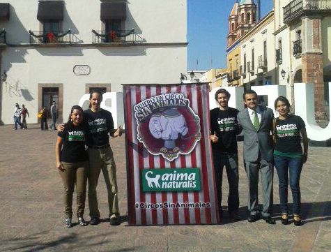 ¡Felicidades, Querétaro: primer estado de la República en prohibir los circos con animales! ¡Felicidades, Querétaro: primer estado de la República en prohibir los circos con animales!
