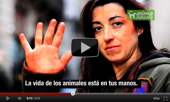 Ayúdanos a salvar la piel de los animales Ayúdanos a salvar la piel de los animales