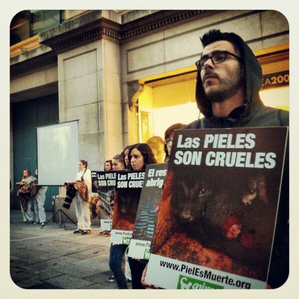 AnimaNaturalis protestó contra las pieles en Barcelona AnimaNaturalis protestó contra las pieles en Barcelona