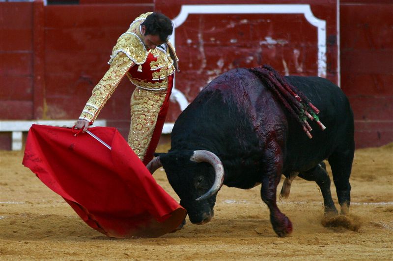 Las Cortes de Aragón rechazan declarar los toros Bien de Interés Cultural Las Cortes de Aragón rechazan declarar los toros Bien de Interés Cultural